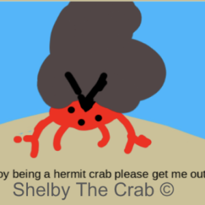 Digital Hermit Crab Shelby